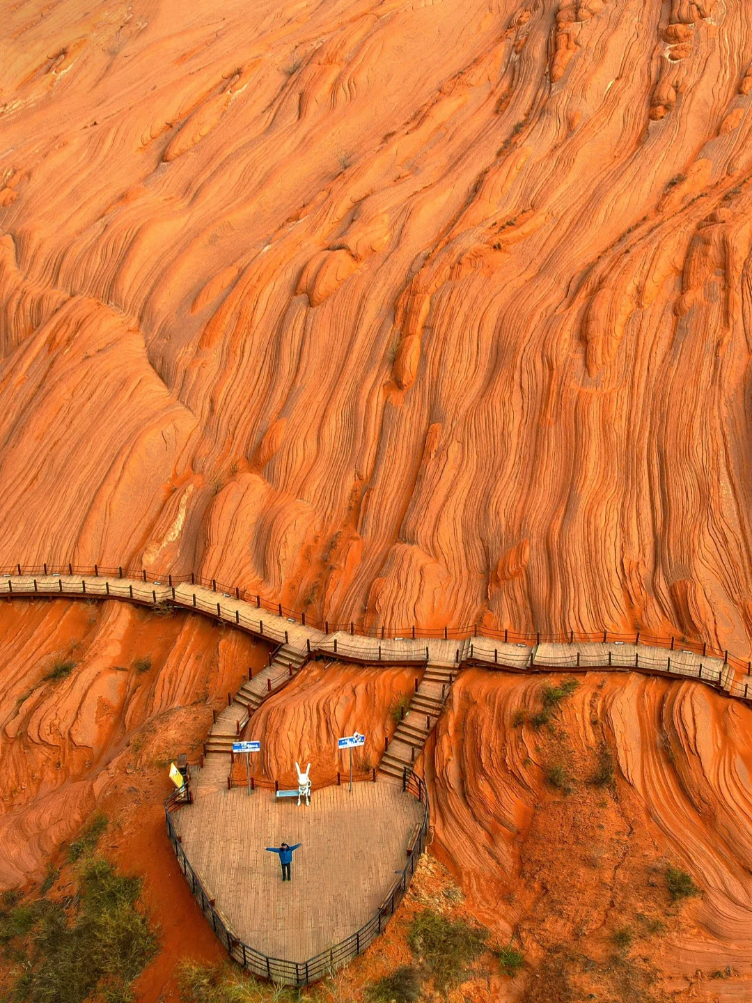 朋友圈被问疯了，还以为我去了国外❗️