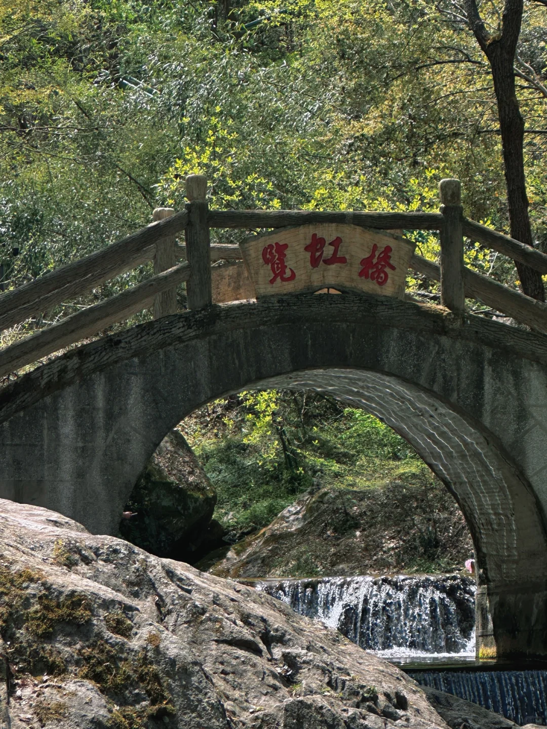 不夸张❗️超好玩❗️河南人自己的绿野仙踪🌲