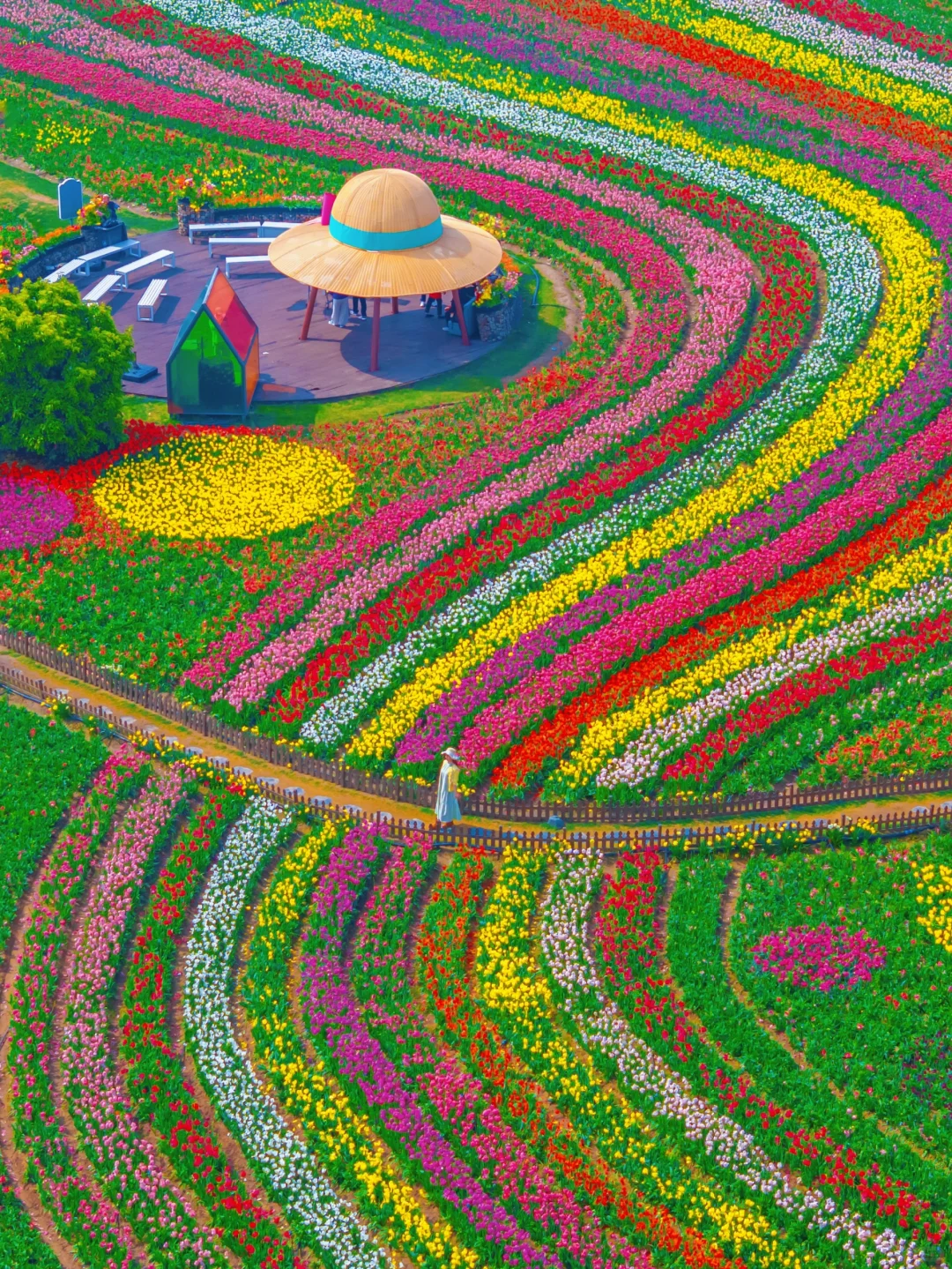 在小红书跟风打卡最成功的一次‼️