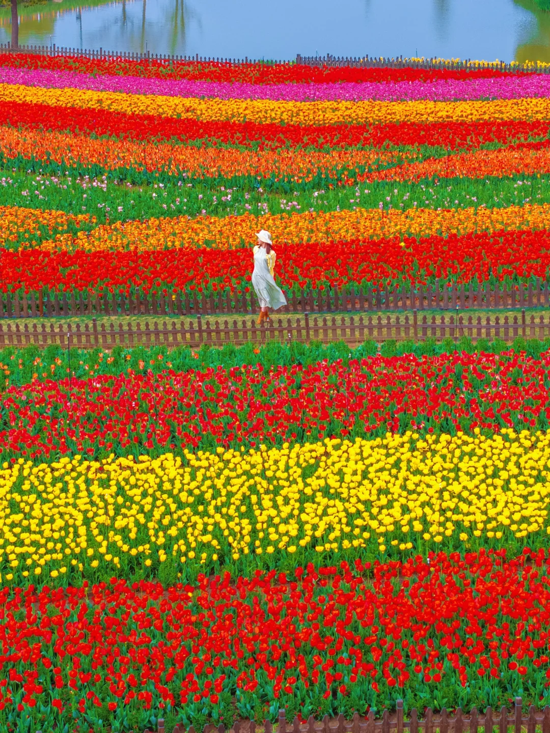 在小红书跟风打卡最成功的一次‼️