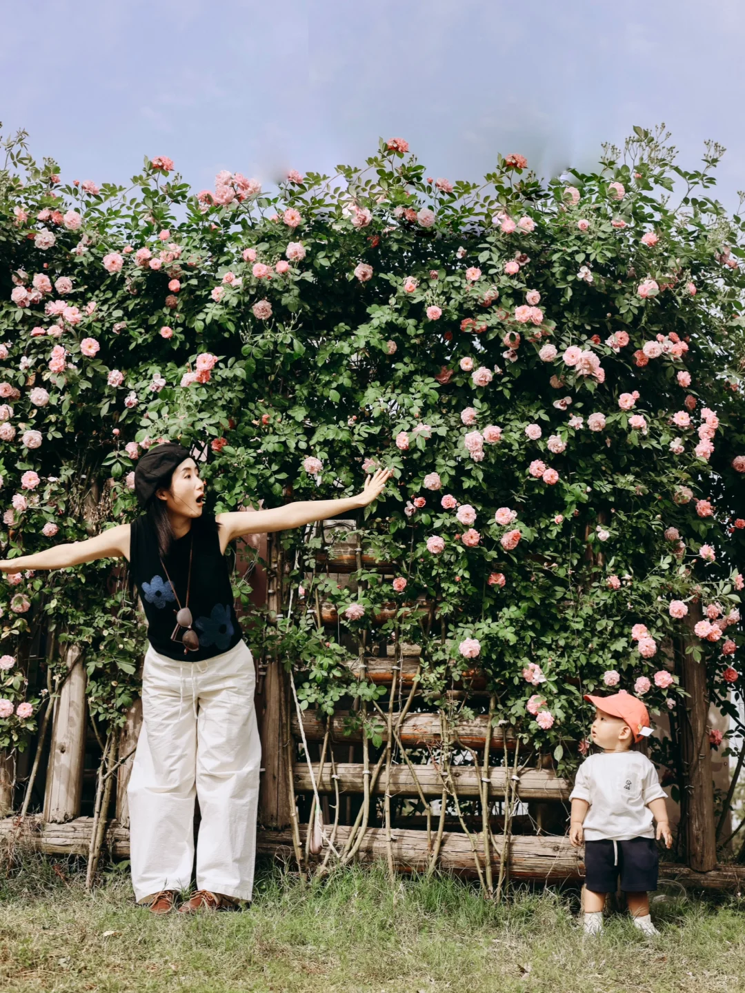 我好像找到了重庆版的莫奈花园，好看惨了