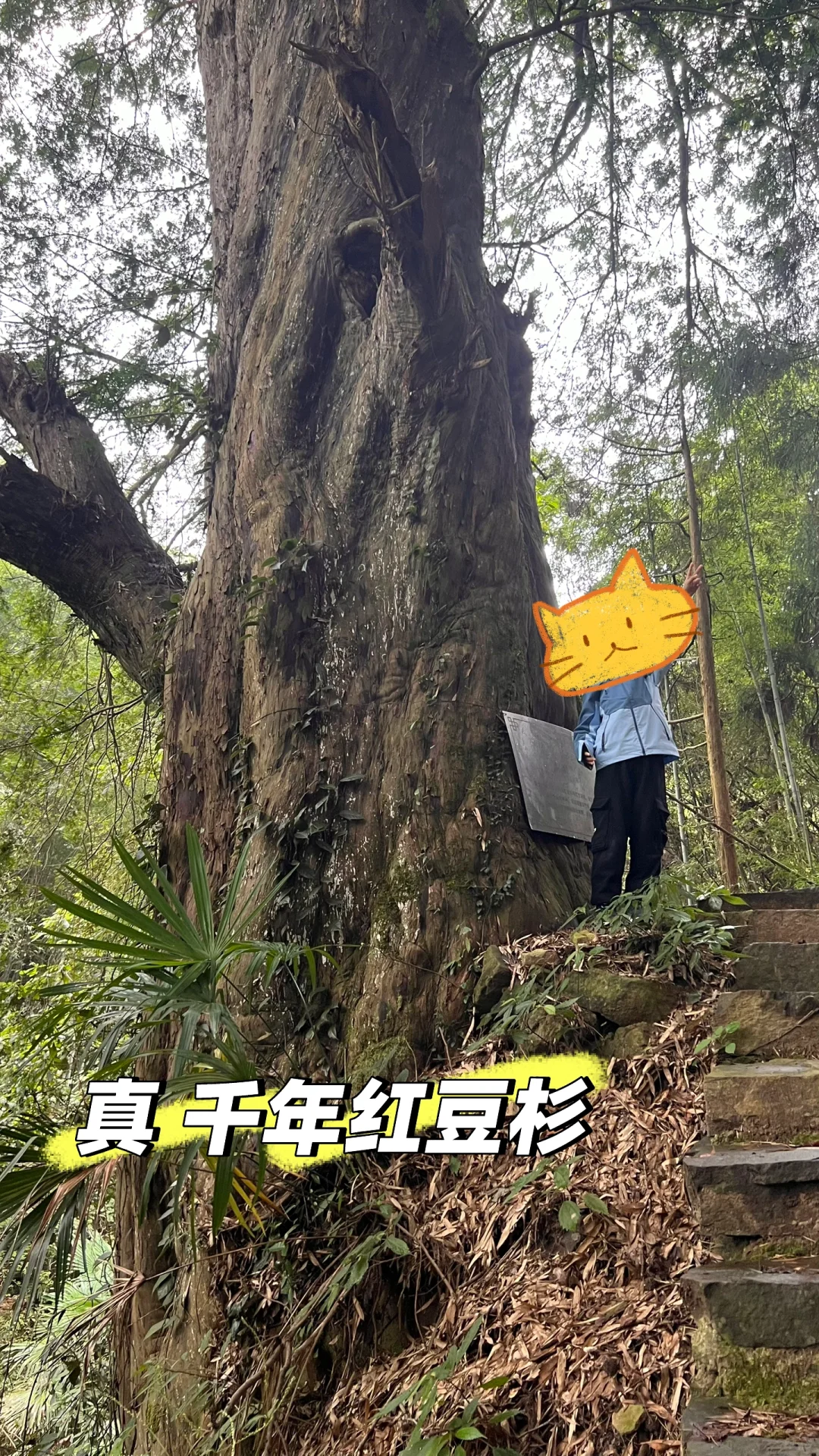 五一小众旅游｜周边亲子游探秘古村落