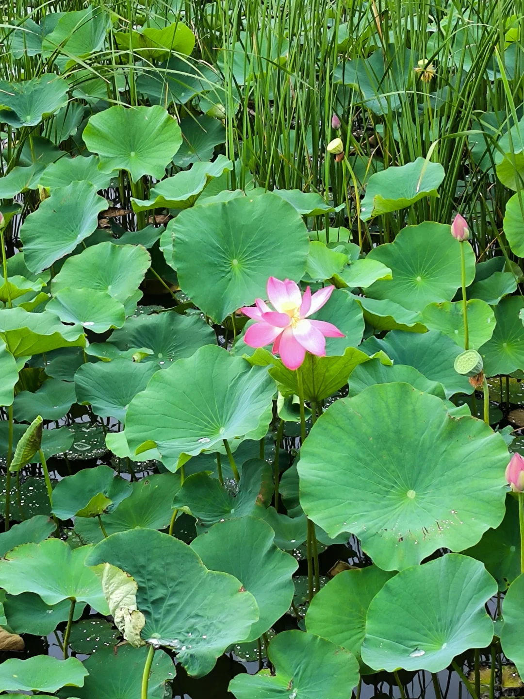 不要报团，不要报团，不要报团