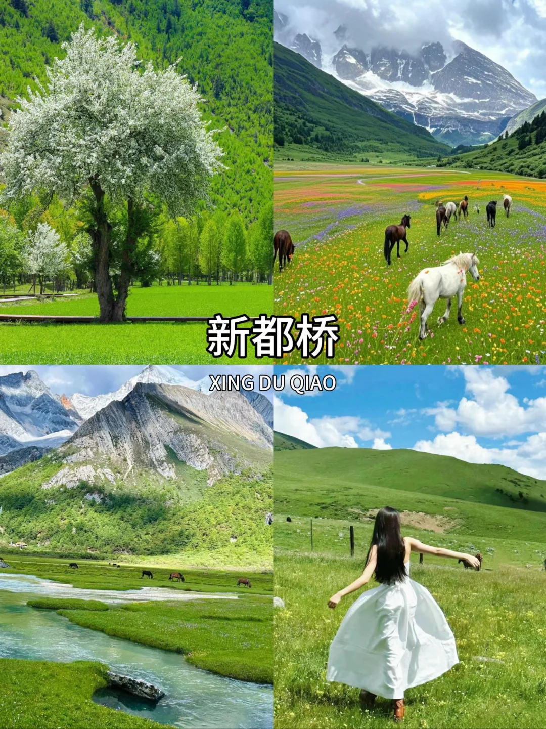 川西旅游天花板！9个地方随手一拍都是大片