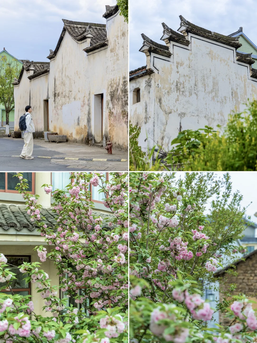 桐庐刚回来，发发四月最新景区实况‼️