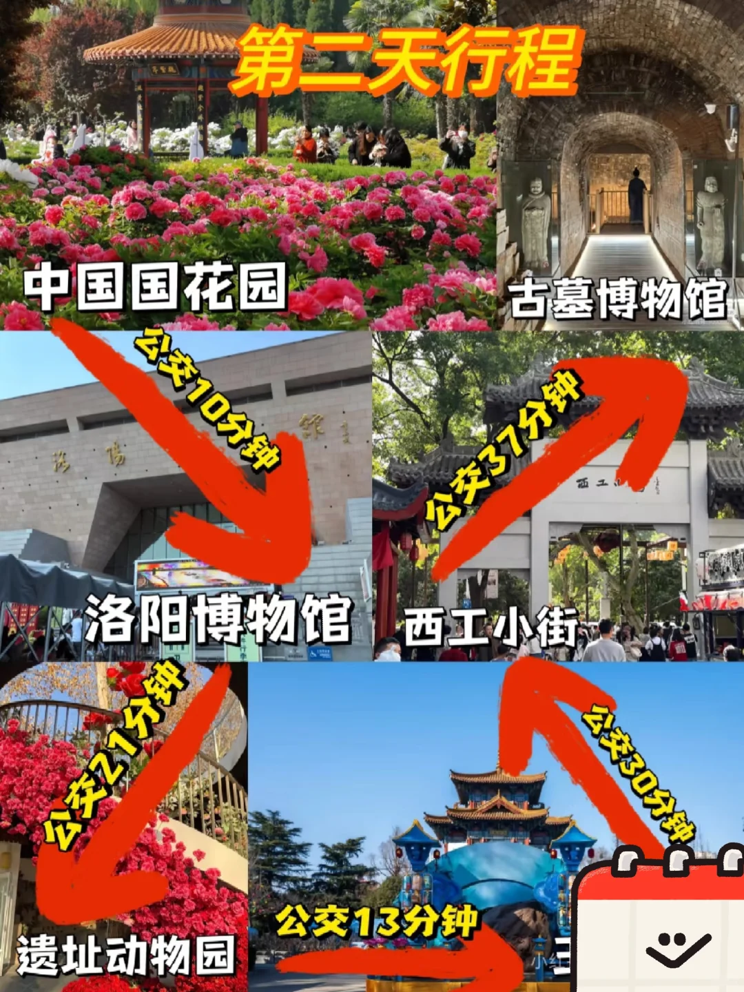 04女大穷游洛阳📍四天|真实旅游分享
