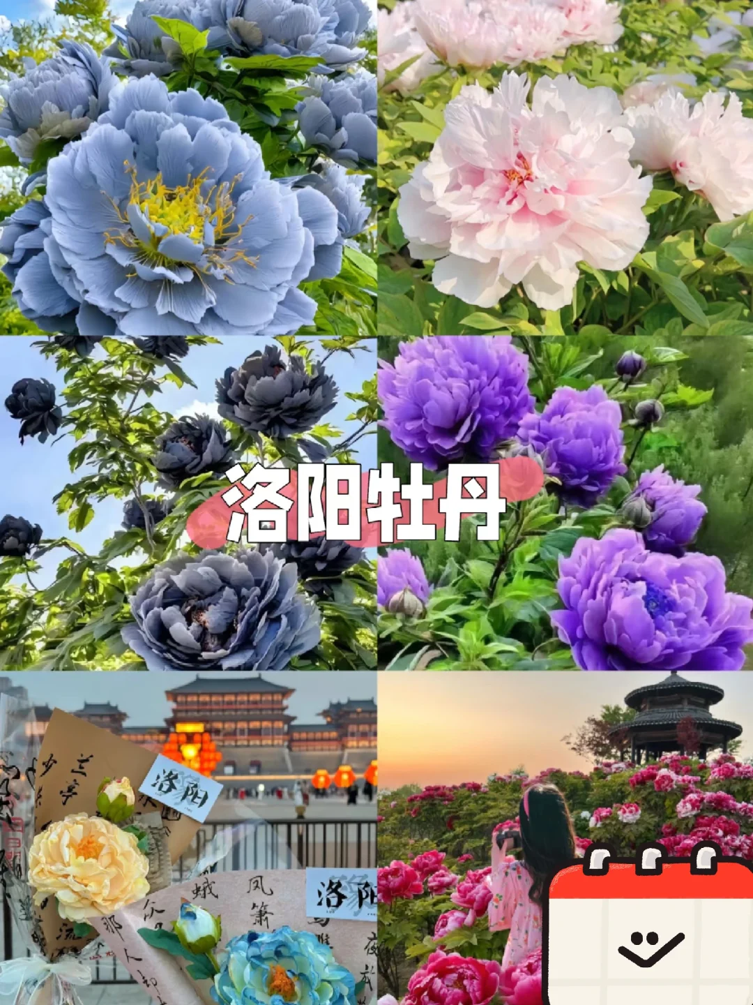 04女大穷游洛阳📍四天|真实旅游分享