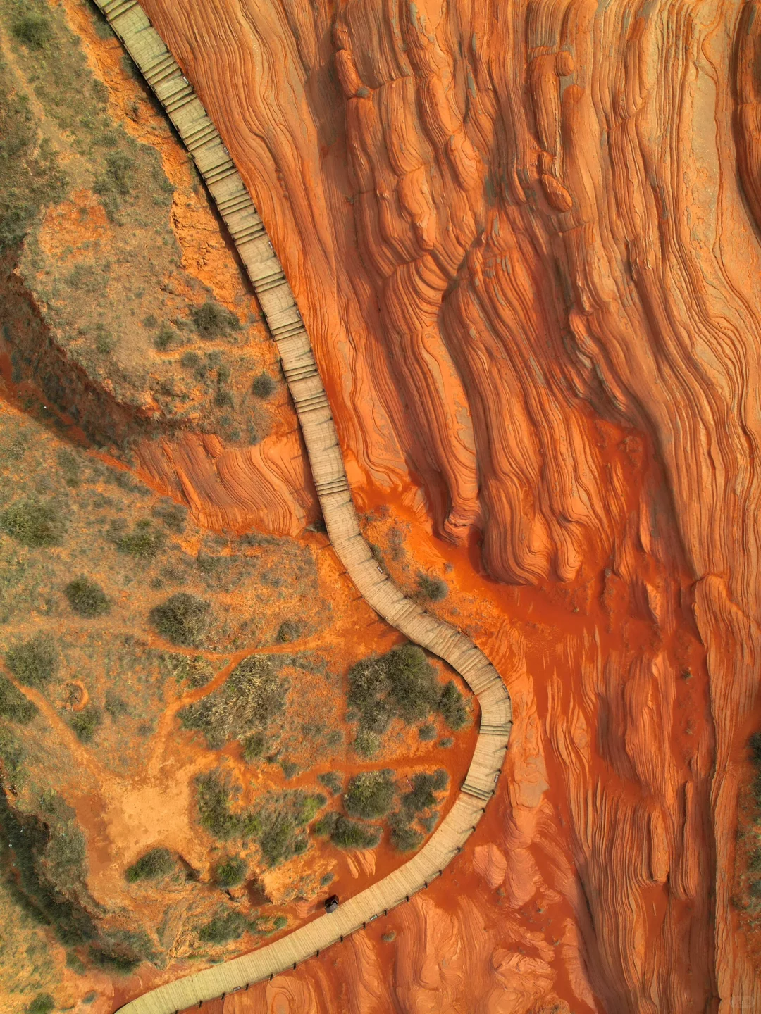 朋友圈被问疯了，还以为我去了国外❗️