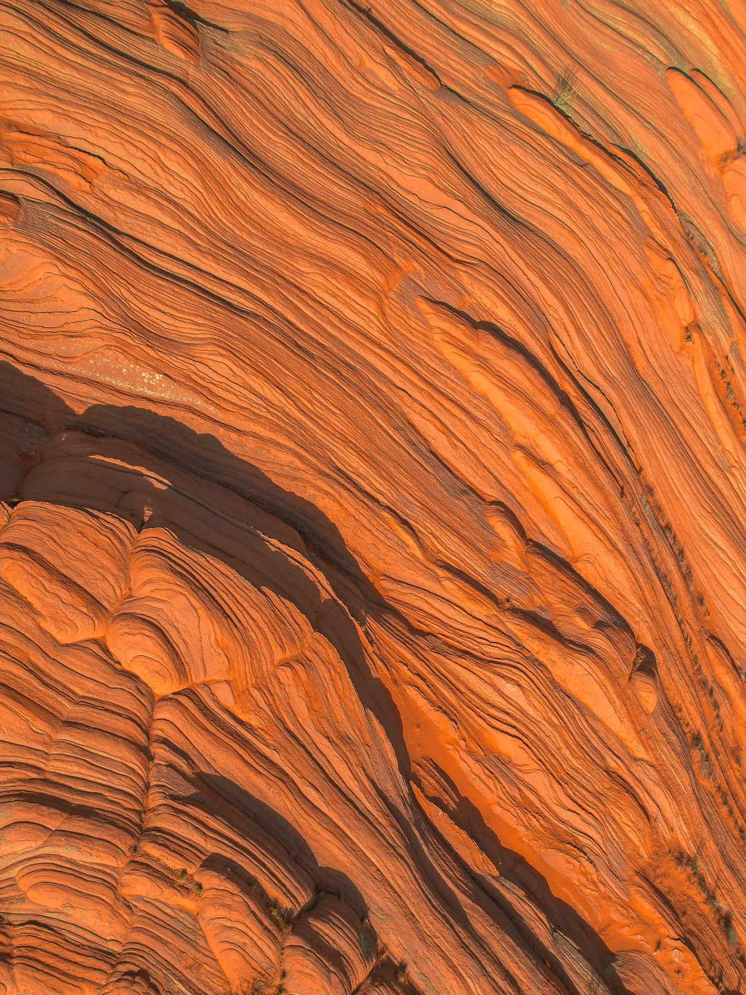 朋友圈被问疯了，还以为我去了国外❗️