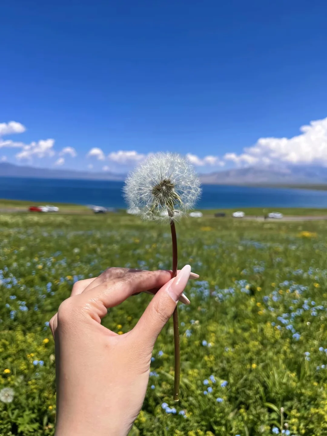 5月赛里木湖现状,简直封神,劝退不了一点….