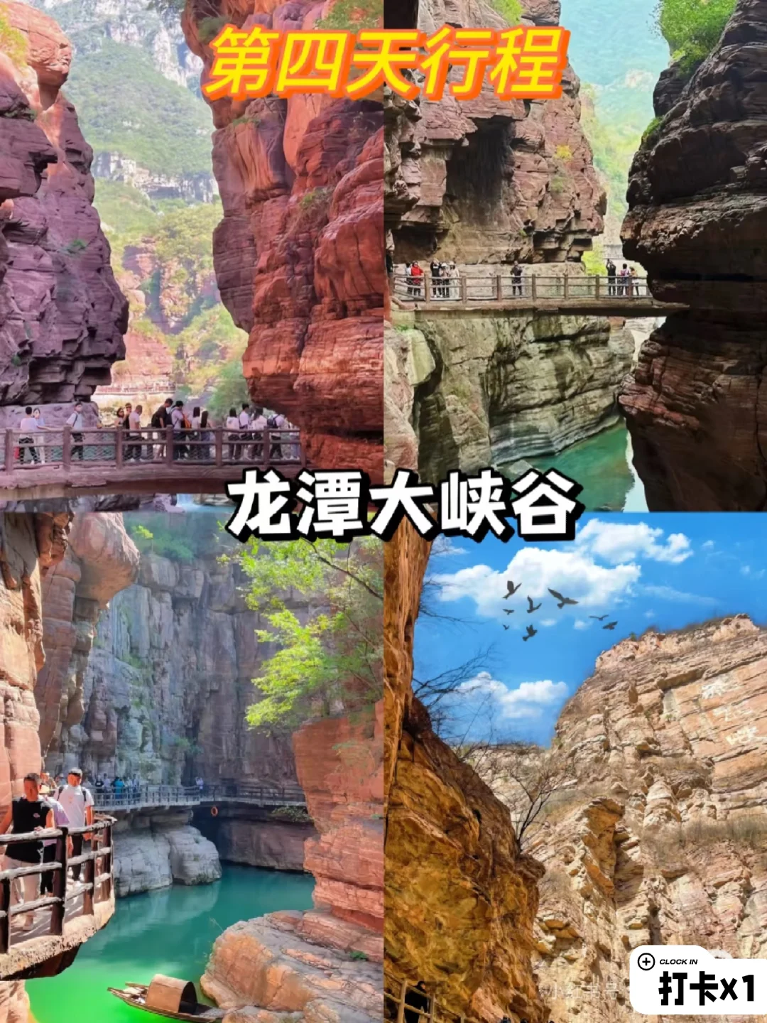 04女大穷游洛阳📍四天|真实旅游分享