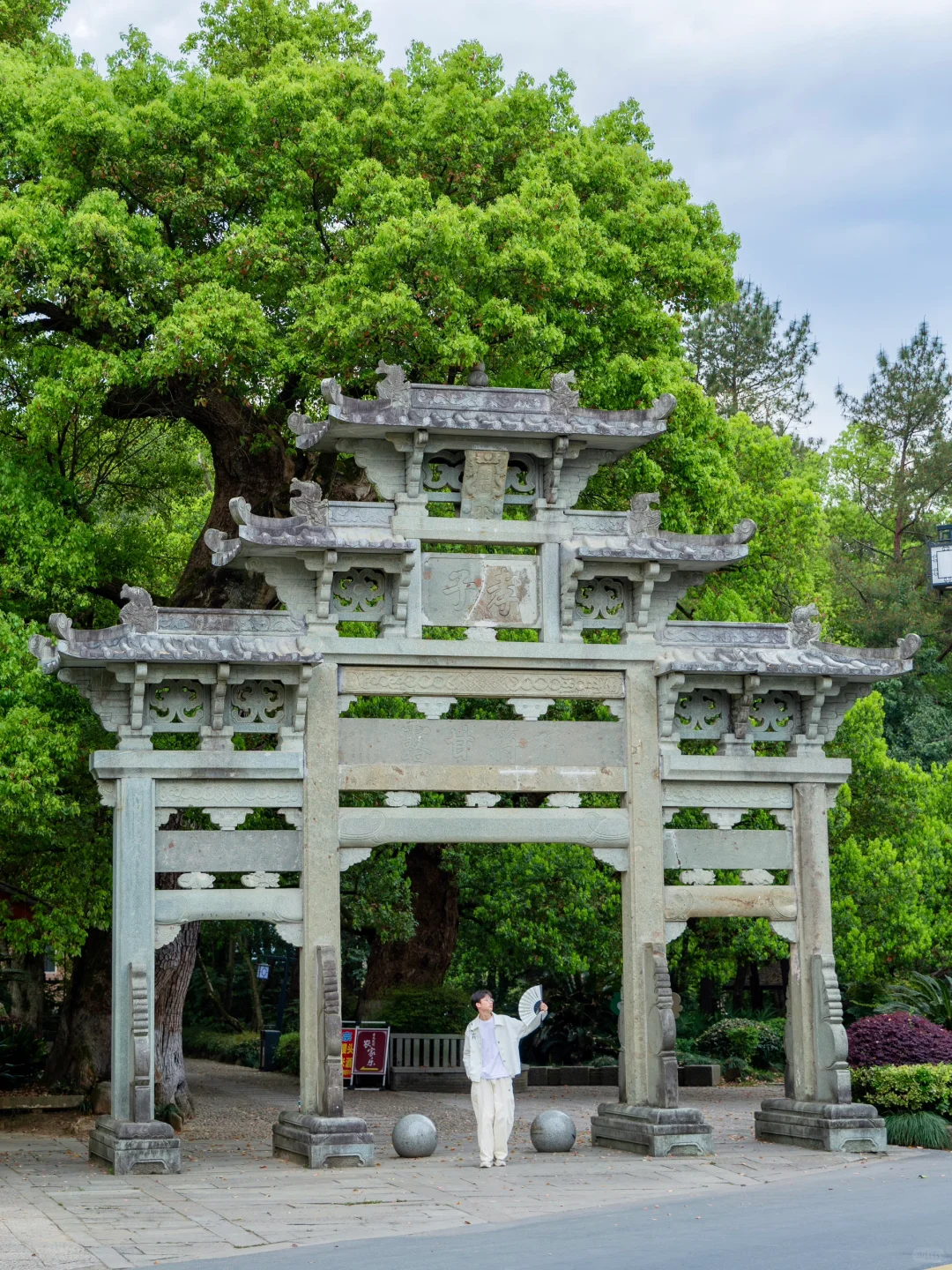 桐庐刚回来，发发四月最新景区实况‼️