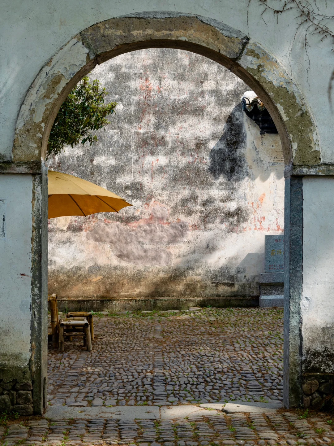 桐庐刚回来，发发四月最新景区实况‼️