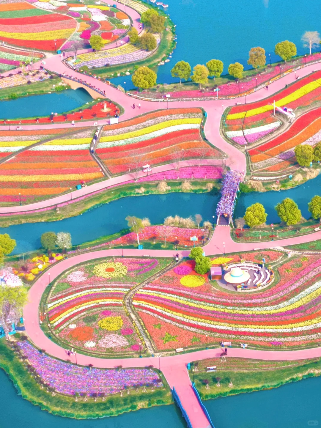 发朋友圈被问爆了！都以为我出国了…