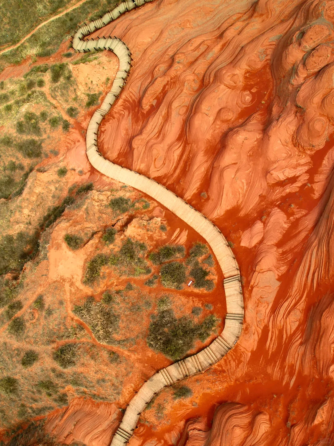 朋友圈被问疯了，还以为我去了国外❗️