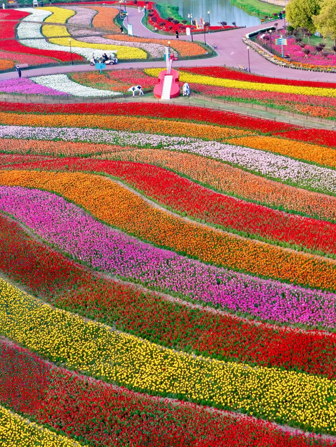 发朋友圈被问爆了！都以为我出国了…