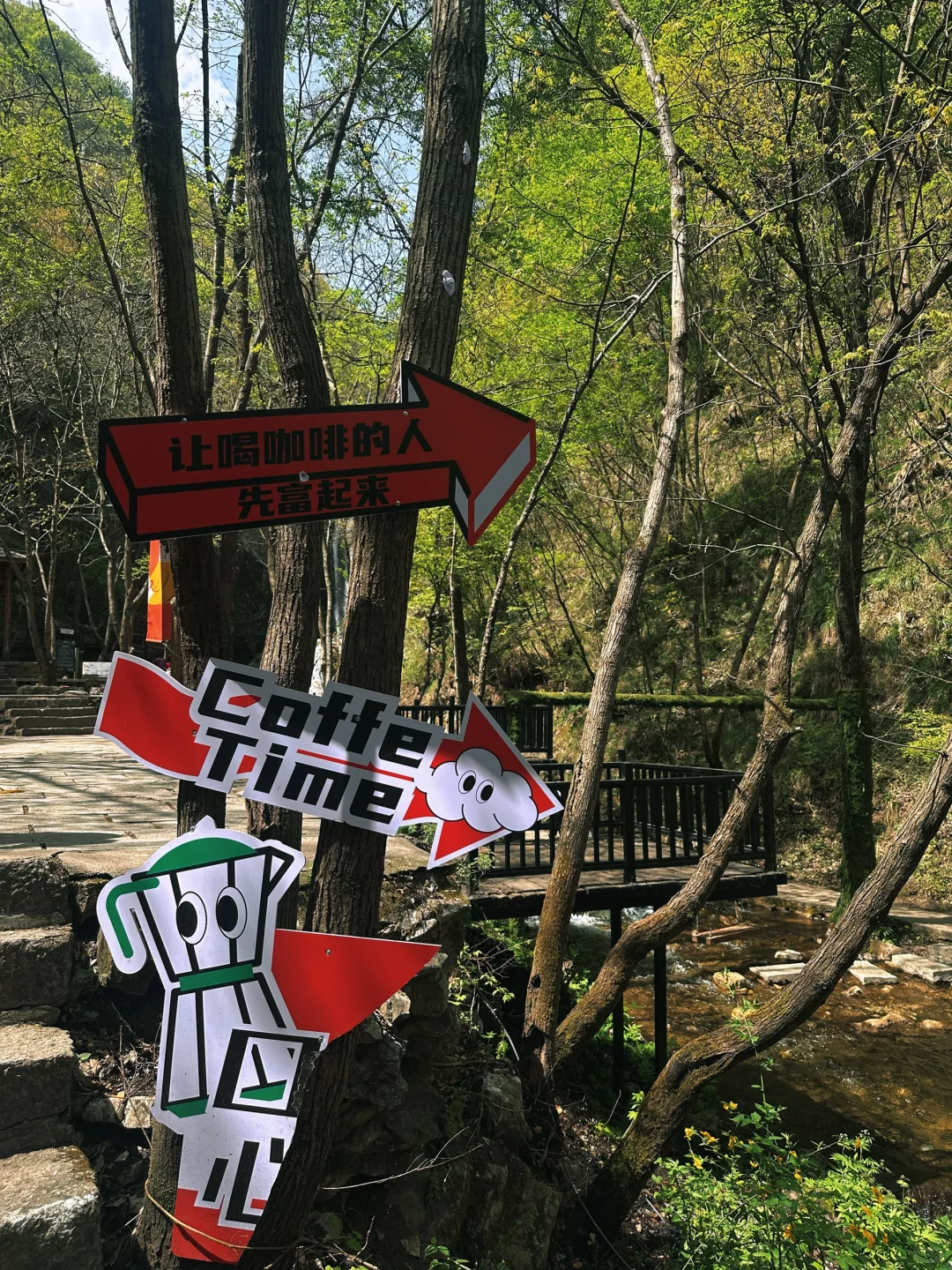 不夸张❗️超好玩❗️河南人自己的绿野仙踪🌲