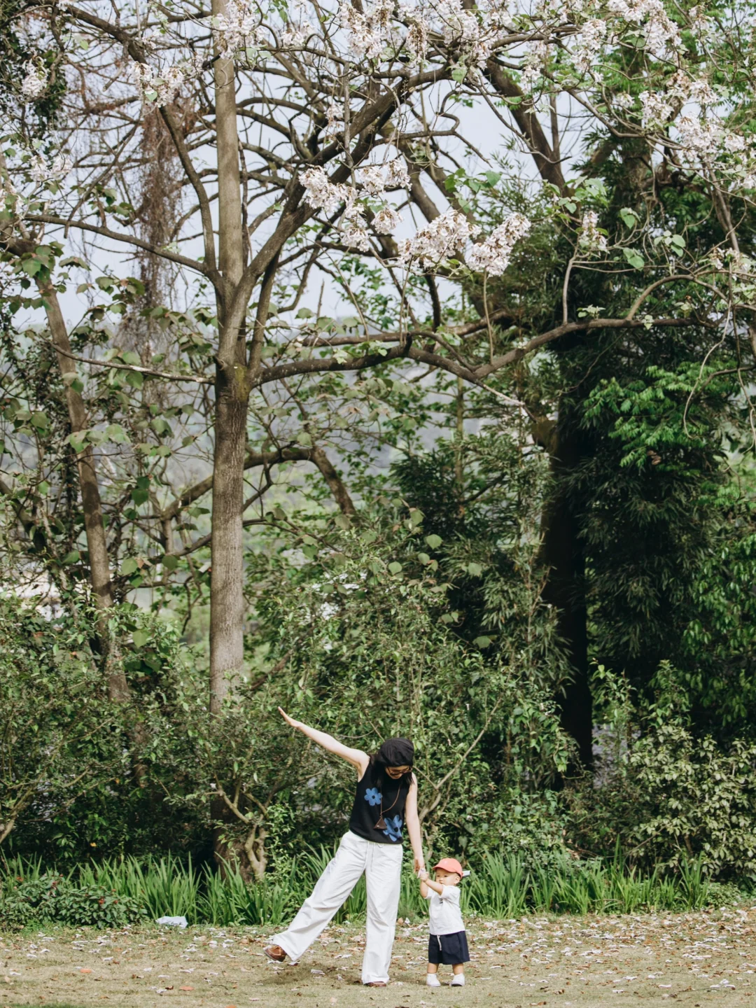 我好像找到了重庆版的莫奈花园，好看惨了