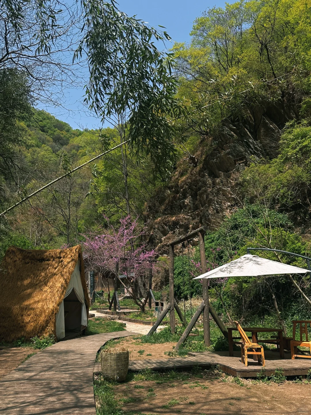 不夸张❗️超好玩❗️河南人自己的绿野仙踪🌲