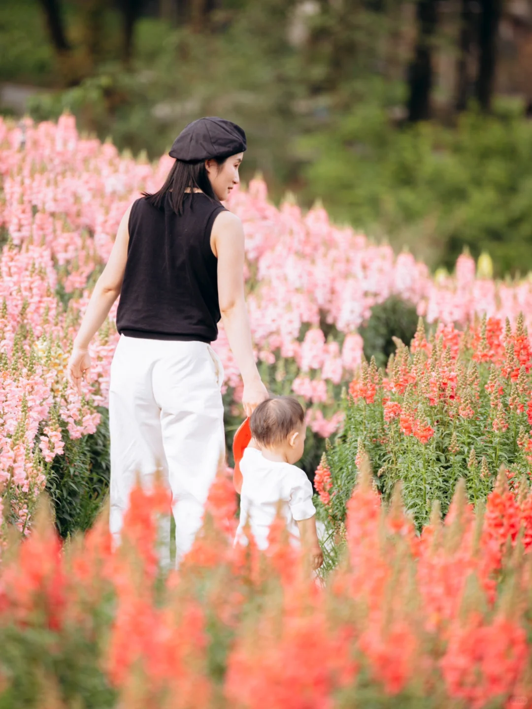 我好像找到了重庆版的莫奈花园，好看惨了