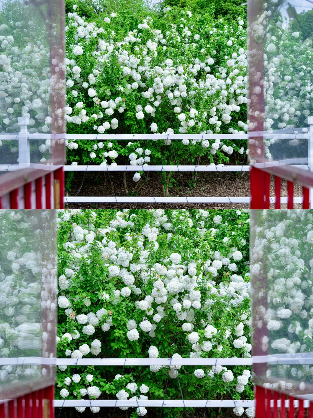 桐庐刚回来，发发四月最新景区实况‼️