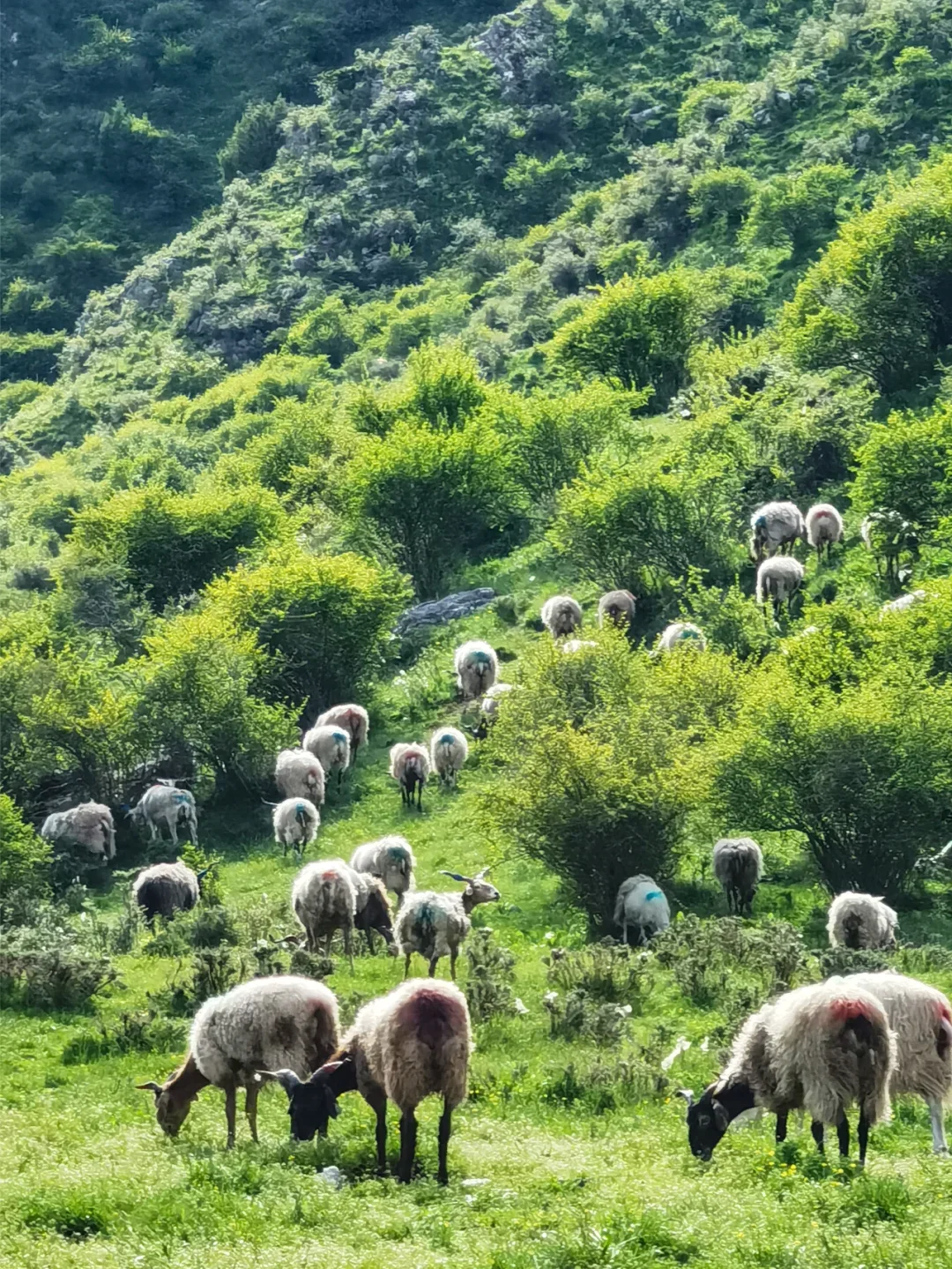 五一反向旅行成功！推荐个被低估的冷门城市
