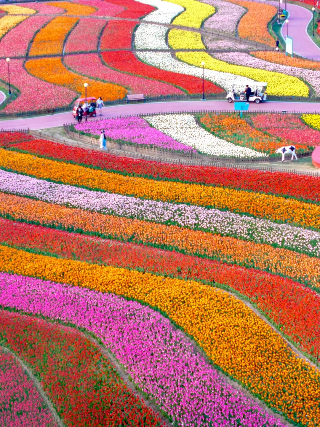 发朋友圈被问爆了！都以为我出国了…