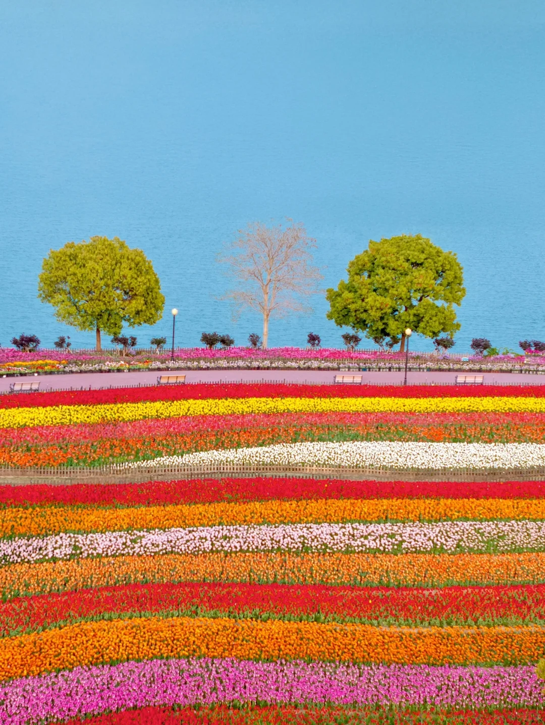 发朋友圈被问爆了！都以为我出国了…