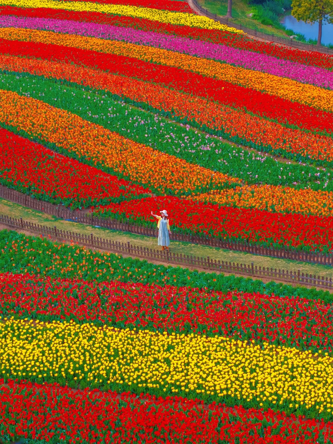 在小红书跟风打卡最成功的一次‼️