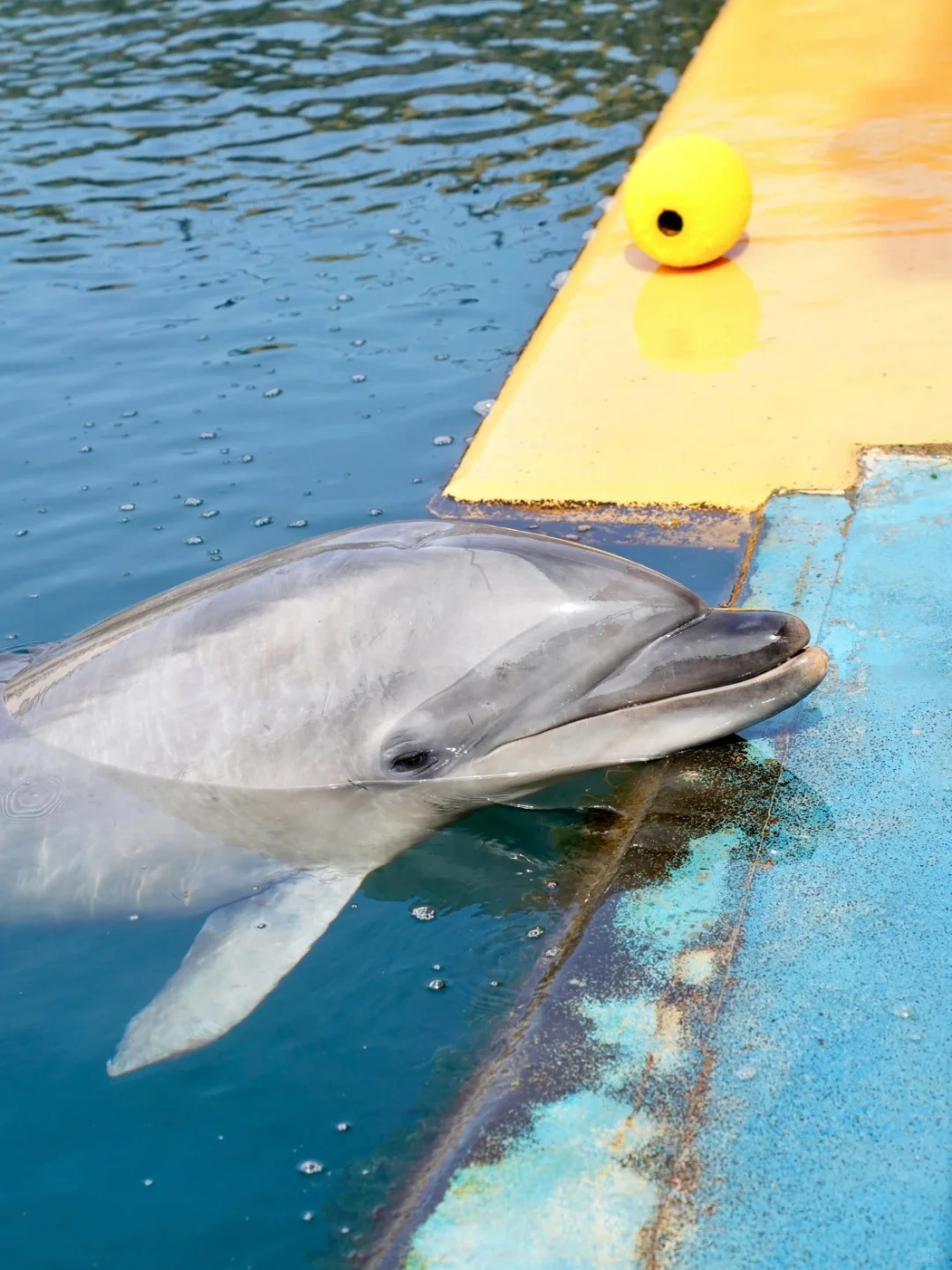 🌟Riku家乡福井旅游全攻略