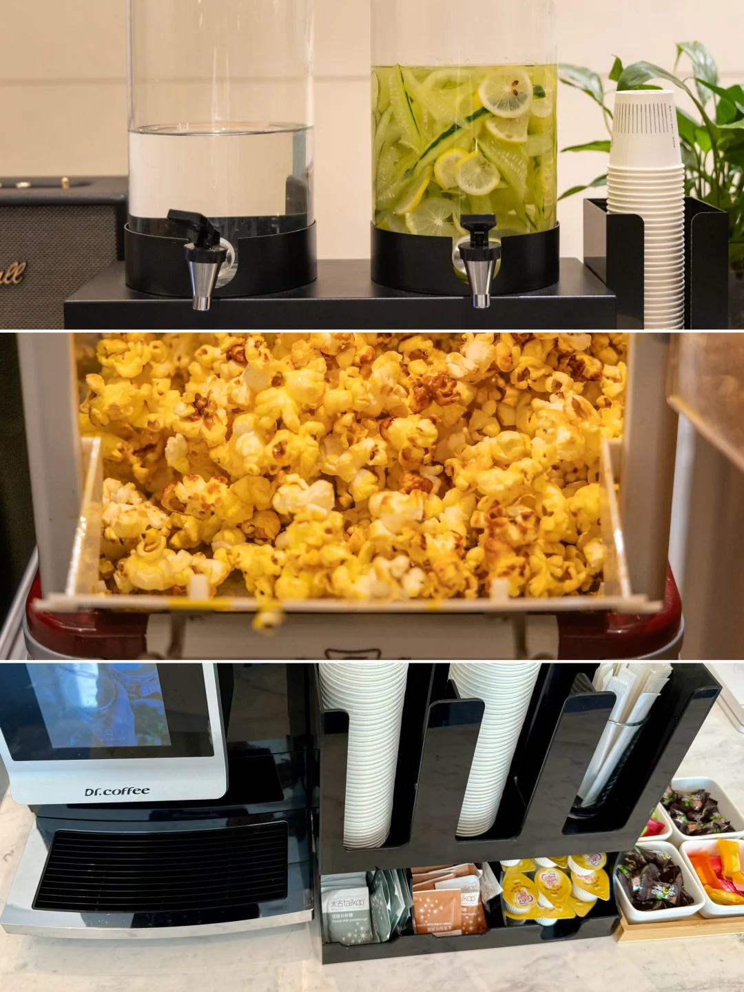 桐庐刚回来，发发四月最新景区实况‼️