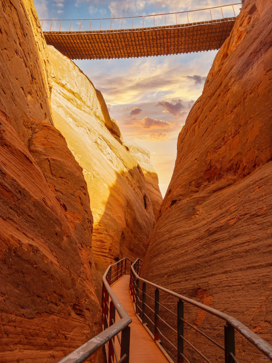 朋友圈被问疯了，还以为我去了国外❗️