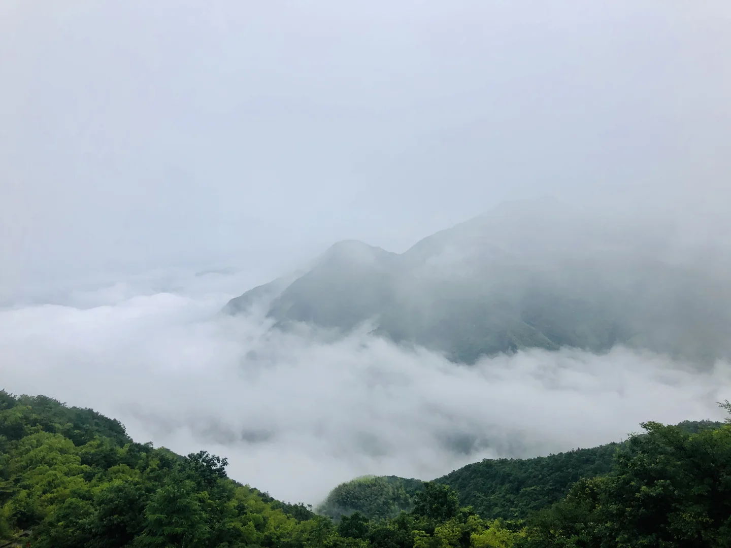 秋名山车神训练营-安吉江南天池分部