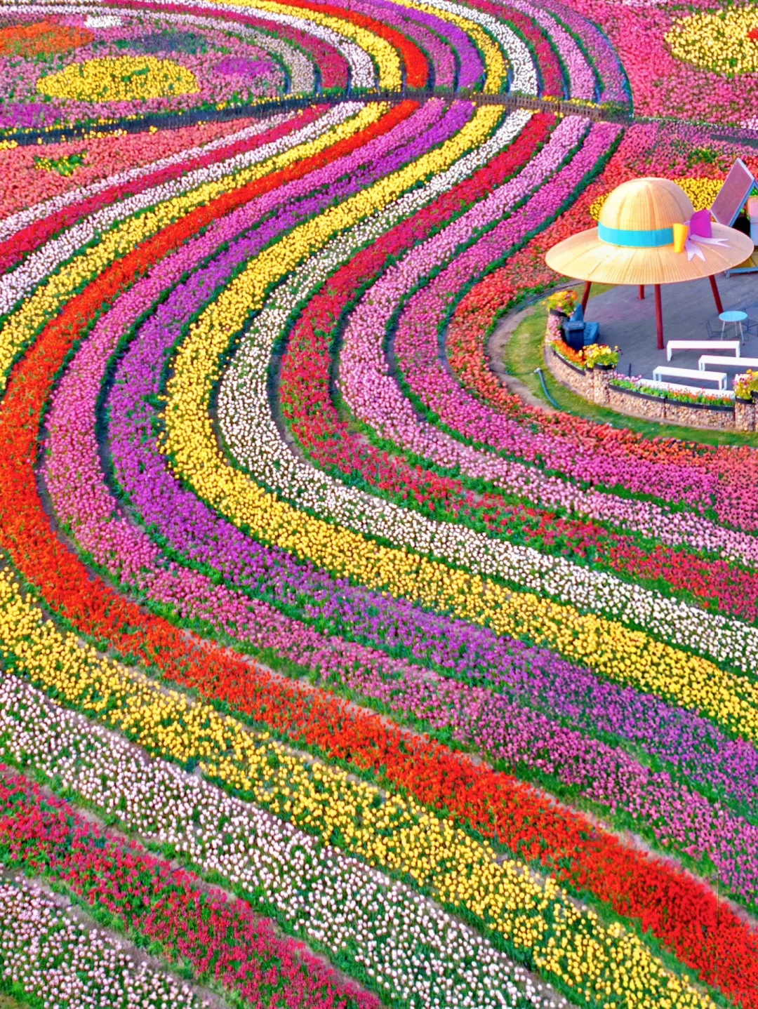 发朋友圈被问爆了！都以为我出国了…