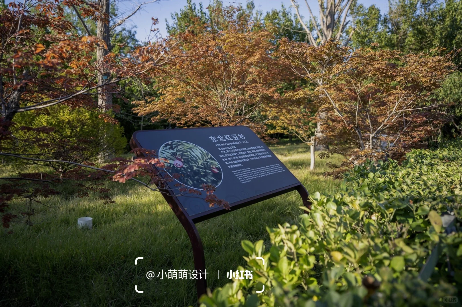 导视系统设计