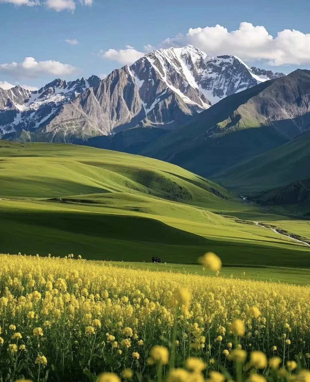 live图| 5月伊犁封神级攻略♥️