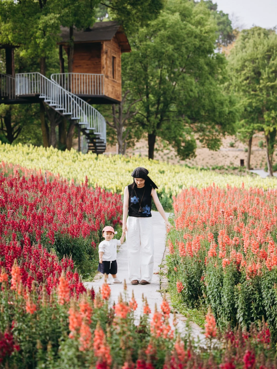 我好像找到了重庆版的莫奈花园，好看惨了