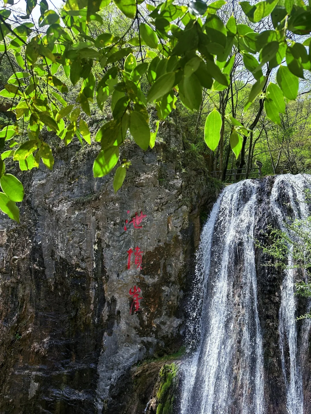 不夸张❗️超好玩❗️河南人自己的绿野仙踪🌲