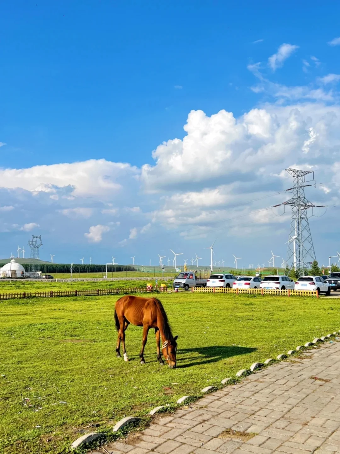 预计五一会🔥爆火的地方——呼和浩特🌄