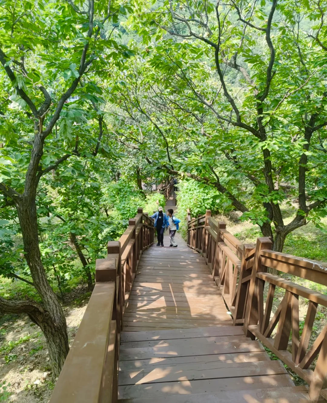 带娃可冲！亲测推荐京郊8️⃣大秘境步道