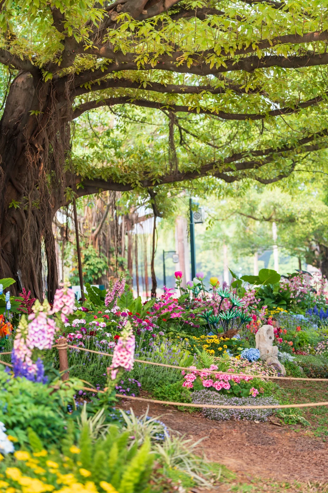 南湖！你只是一个免费公园！不是景区