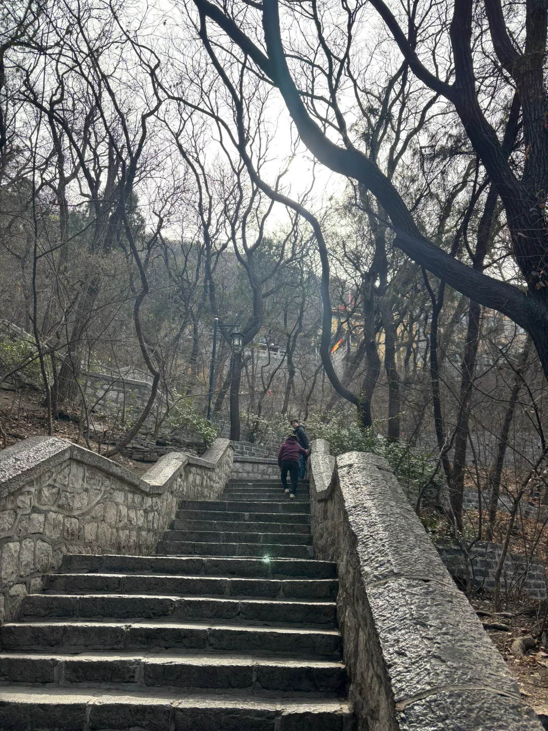 导游证免费景点