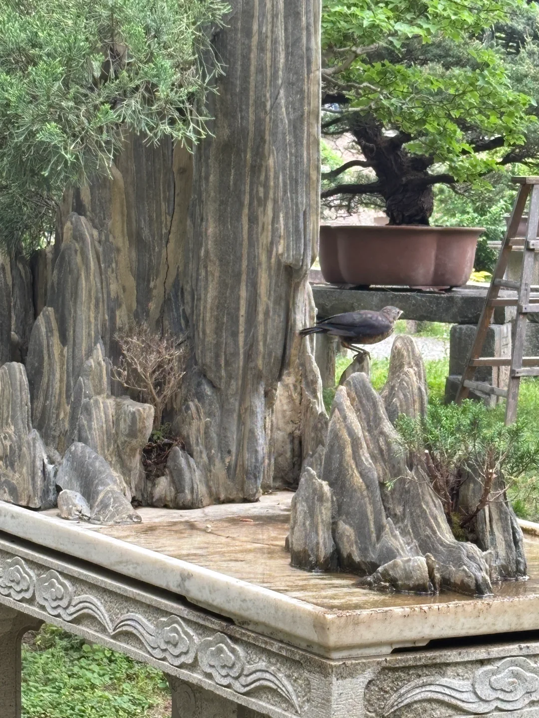 园林卡第二站—虎丘塔