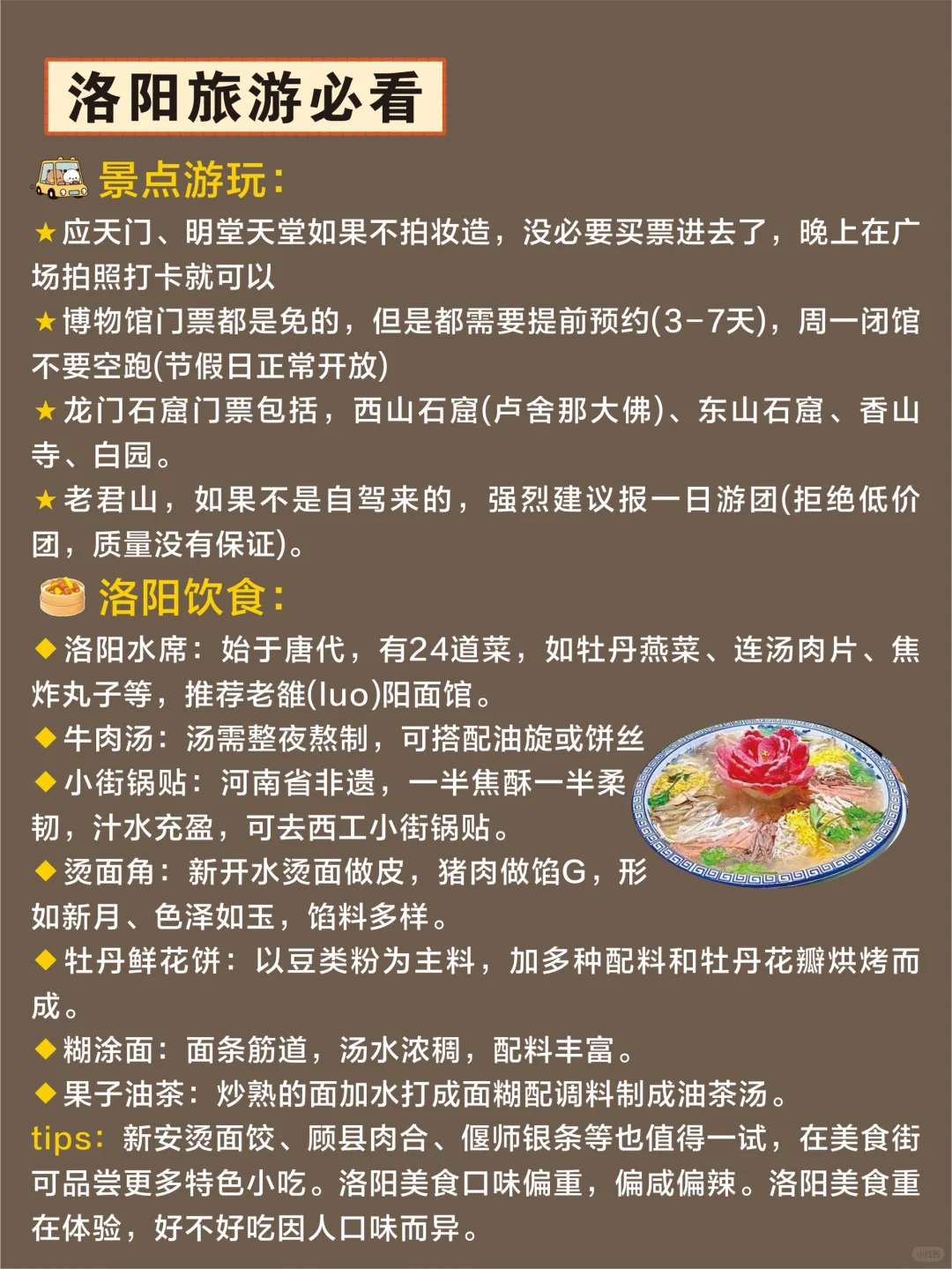 终于有人把洛阳游玩说明白了😭直接🐴住