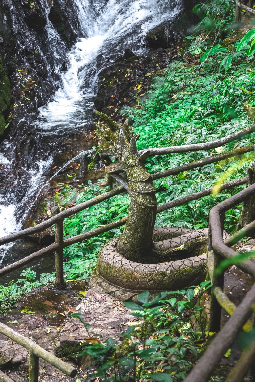 云南秘境绿野仙踪｜徒步热带雨林的奇妙日记