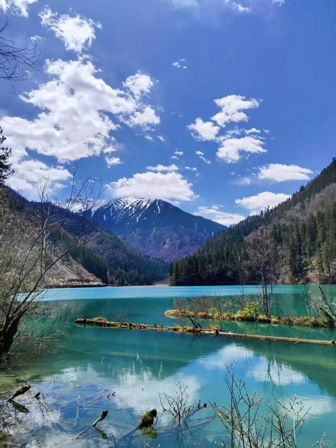 4.14📍九寨沟高铁已回🥶，有点崩溃了.