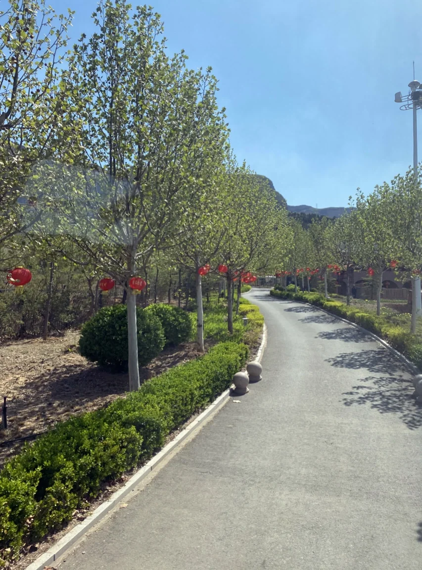 河北旅行天花板🏆直接封神！