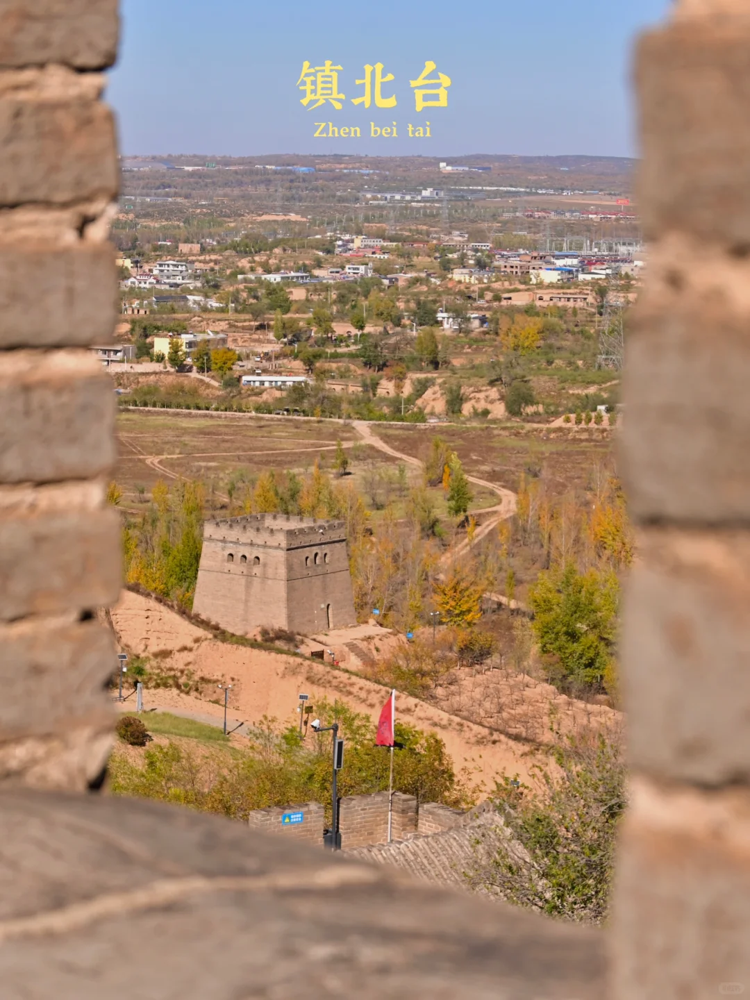 后来，我总是回想起在山谷荡秋千的那个下午