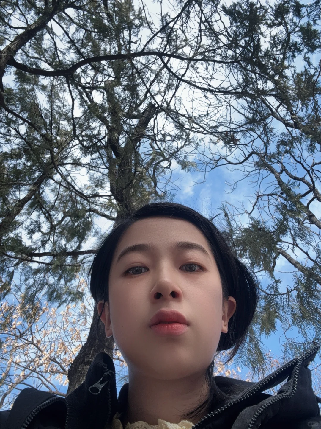 导游证免费景点