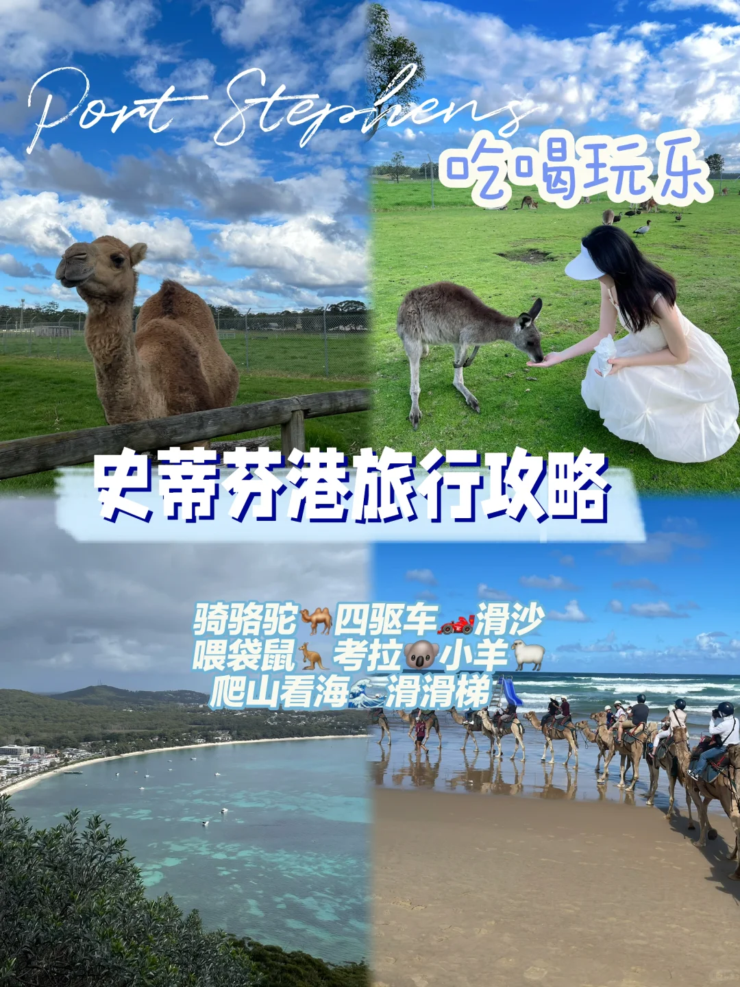 悉尼附近Port Stephens史蒂芬港旅行攻略